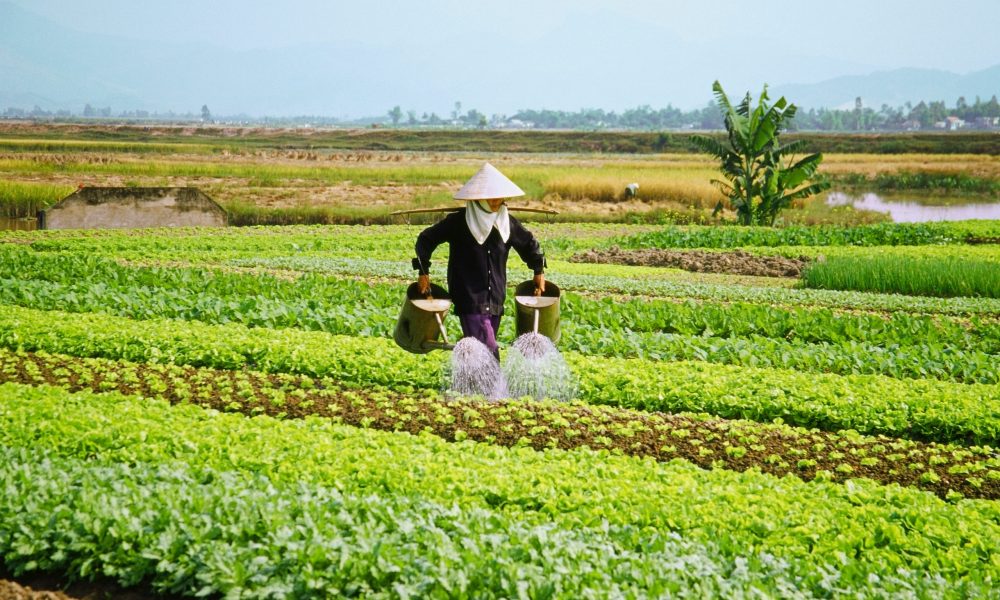 VIETNAM