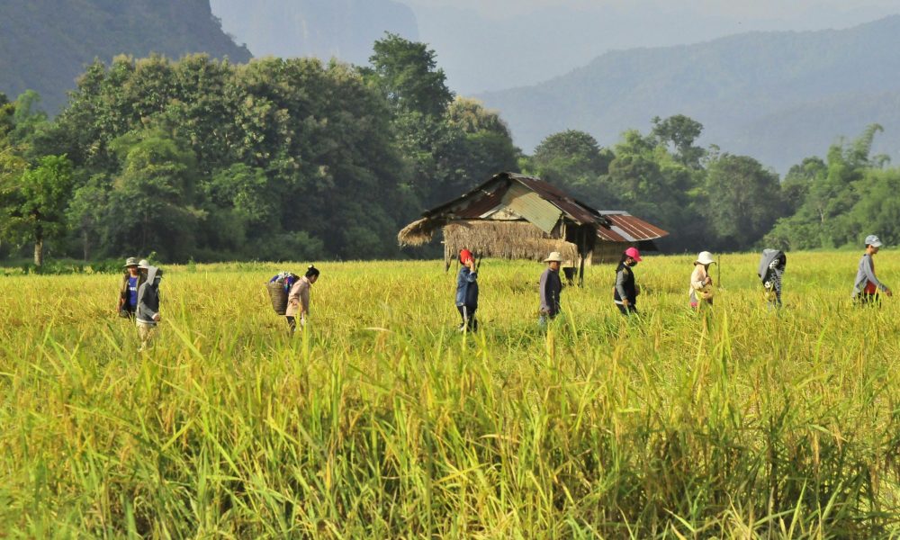 laos 2
